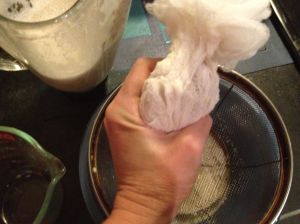 milking almond cow